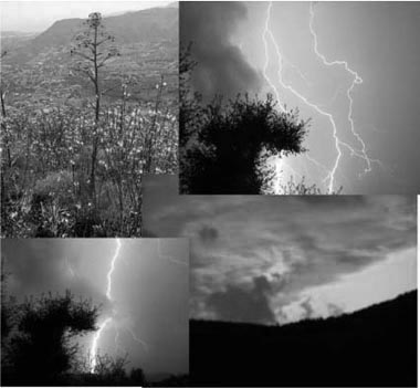 Paysages et temps